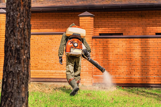 Bed Bug Clearance Verification and Documentation in Wye